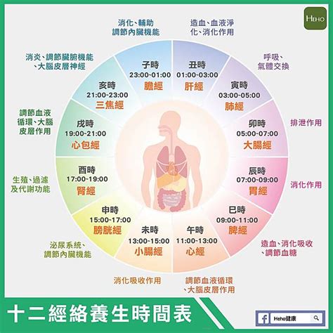 十二時辰經絡表|人體經絡十二時辰對照表，選對時間，經絡養生事半功。